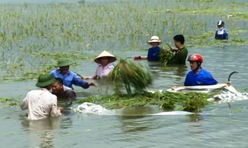 Tổ chức tốt việc sớm đưa người dân trở lại cuộc sống bình thường